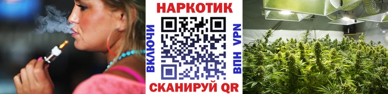 Наркошоп купить СК  Амфетамин  Псилоцибиновые грибы  Каннабис  Мефедрон  Бутират  ГАШИШ  Грозный