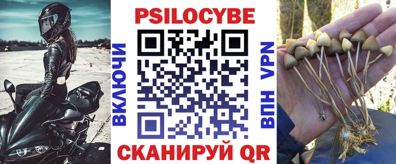 Псилоцибиновые грибы ЛСД  Купить закладки  Грозный 